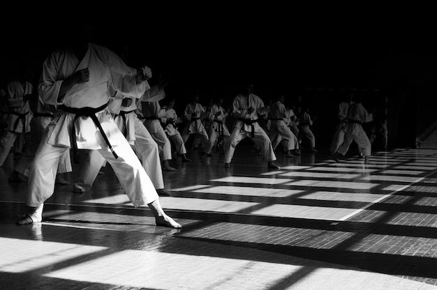 karate photos download free high quality pictures freepik